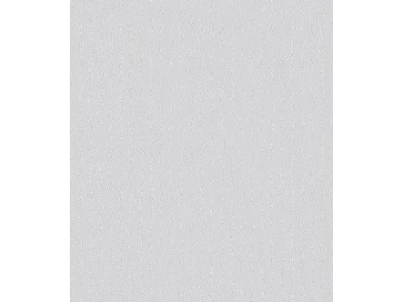 Erfurt Vliesfaser Ready 305