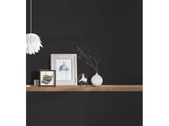 AS-Creation Dekorative Tapeten^Vliestapete Trendwall 2 Uni Schwarz FSC®