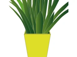 Wagner design yourself Wagner Topffüße Rolle