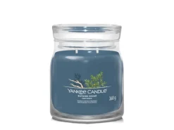 Kerzen^Yankee Candle Bayside Cedar Medium 368g