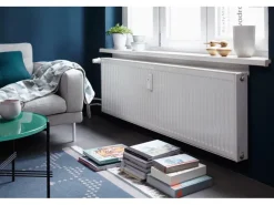 Clearance Alpina Sprüh-Lack für Heizkörper 400 ml glänzend