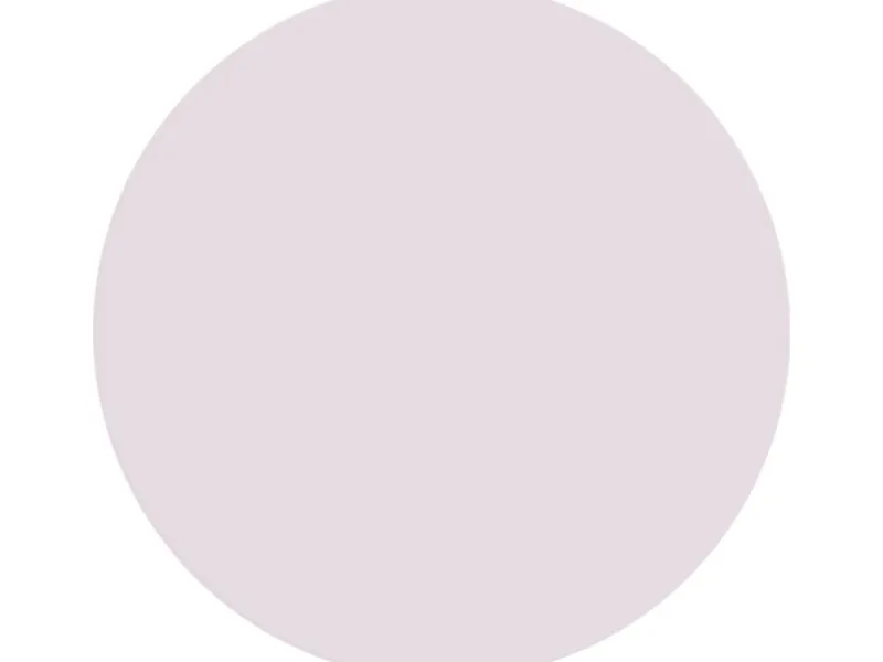 Alpina Wandfarbe Pure Farben Grauviolett 2,5 l Grau-Violett