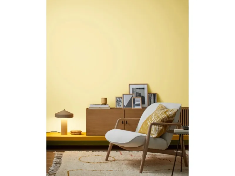 Alpina Wandfarbe Pure Farben 2,5 l