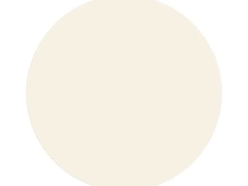 Clearance Alpina Wandfarbe Pure Farben 2,5 l Mondgrau