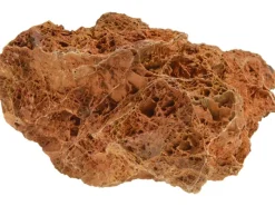 Sale Aquarien-Dekoration versteinertes Laub