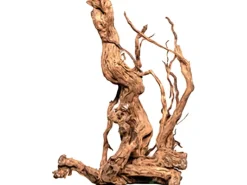 Aquriendekoration Curl-Holz S