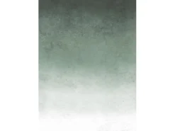 Sale Art for the Home Fototapete Fading groen 280 x 200 cm