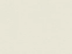 AS-Creation A.S. Création Vliestapete Sumatra Uni Creme FSC®