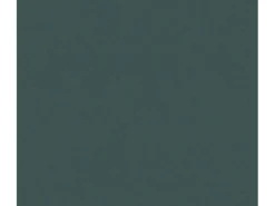New AS-Creation A.S. Création Vliestapete Uni Dunkelgrün