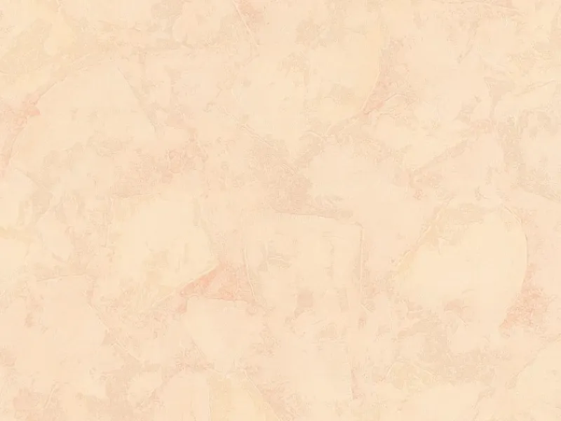 AS-Creation A.S. Creation Vliestapete Uni Beige FSC®