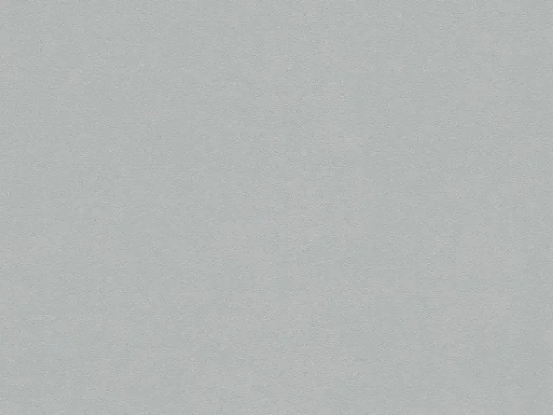 AS-Creation A.S.Creation Vliestapete Glatte Wand FSC®