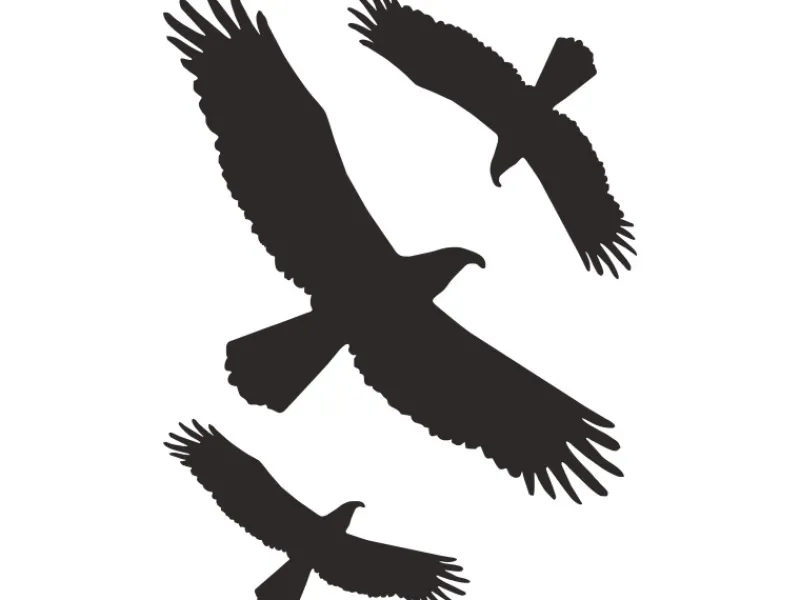 Clearance Aufkleber "Kontur Vogel" 30 cm x 20 cm PVC-Folie