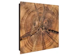 Outlet Banjado Großer Schlüsselkasten Glas 30x30cm Schwarz Scharnier Rechts 50 Haken Beschreibbar Magnetisch Motiv Jahresringe