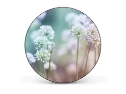 Outlet Banjado Magnettafel Rund Größe 47cm Magnetwand Schwarz Aus Metall Magnetpinnwand Pinnwand Motiv Lauchblüte