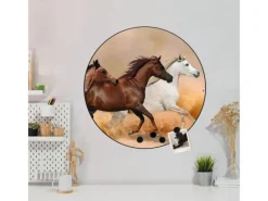 Banjado Magnettafel Rund Größe 47cm Magnetwand Schwarz Aus Metall Magnetpinnwand Pinnwand Motiv Wilde Pferde