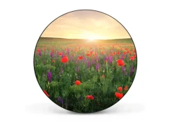 Banjado Magnettafel Rund Größe 47cm Magnetwand Schwarz Aus Metall Magnetpinnwand Pinnwand Motiv Sommerfeld