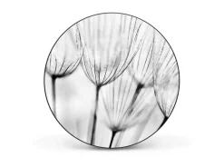 Discount Banjado Magnettafel Rund Größe 47cm Magnetwand Schwarz Aus Metall Magnetpinnwand Pinnwand Motiv Pusteblumen Sw