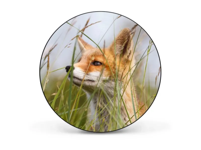 Best Banjado Magnettafel Rund Größe 47cm Magnetwand Schwarz Aus Metall Magnetpinnwand Pinnwand Motiv Fuchs