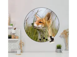 Best Banjado Magnettafel Rund Größe 47cm Magnetwand Schwarz Aus Metall Magnetpinnwand Pinnwand Motiv Fuchs