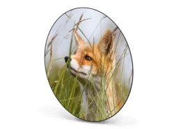 Best Banjado Magnettafel Rund Größe 47cm Magnetwand Schwarz Aus Metall Magnetpinnwand Pinnwand Motiv Fuchs