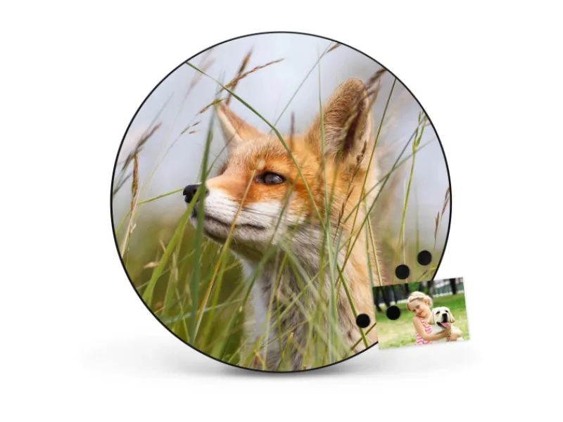Best Banjado Magnettafel Rund Größe 47cm Magnetwand Schwarz Aus Metall Magnetpinnwand Pinnwand Motiv Fuchs