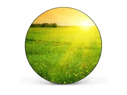 Hot Banjado Magnettafel Rund Größe 47cm Magnetwand Schwarz Aus Metall Magnetpinnwand Pinnwand Motiv Guten Morgen 2