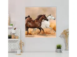 Hot Banjado Magnettafel 50x50cm Magnetwand Weiß Aus Metall Magnetpinnwand Pinnwand Inkl. 4 Magnete Motiv Wilde Pferde