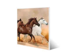 Hot Banjado Magnettafel 50x50cm Magnetwand Weiß Aus Metall Magnetpinnwand Pinnwand Inkl. 4 Magnete Motiv Wilde Pferde