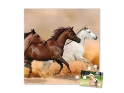 Hot Banjado Magnettafel 50x50cm Magnetwand Weiß Aus Metall Magnetpinnwand Pinnwand Inkl. 4 Magnete Motiv Wilde Pferde