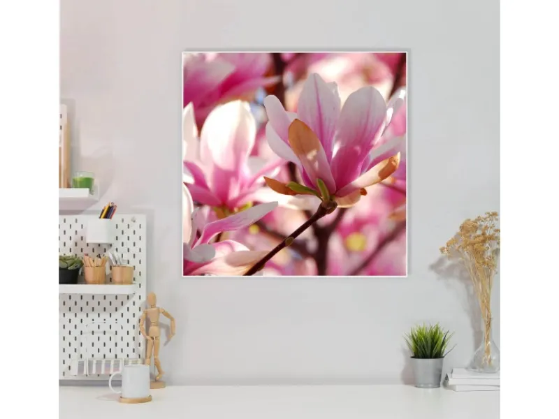 Best Banjado Magnettafel 50x50cm Magnetwand Weiß Aus Metall Magnetpinnwand Pinnwand Inkl. 4 Magnete Motiv Magnolia