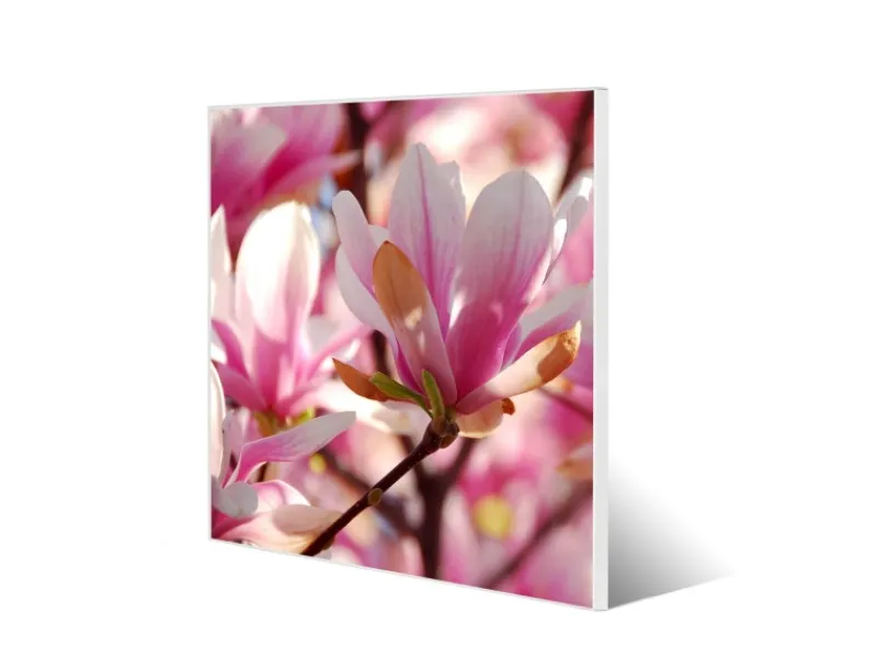 Best Banjado Magnettafel 50x50cm Magnetwand Weiß Aus Metall Magnetpinnwand Pinnwand Inkl. 4 Magnete Motiv Magnolia