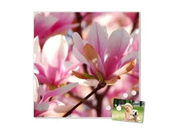 Best Banjado Magnettafel 50x50cm Magnetwand Weiß Aus Metall Magnetpinnwand Pinnwand Inkl. 4 Magnete Motiv Magnolia