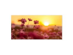 Banjado Magnettafel 78x37cm Magnetwand Weiß Aus Metall Magnetpinnwand Pinnwand Inkl. 4 Magnete Motiv Cosmea Feld