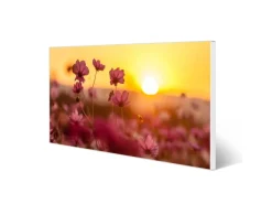 Banjado Magnettafel 78x37cm Magnetwand Weiß Aus Metall Magnetpinnwand Pinnwand Inkl. 4 Magnete Motiv Cosmea Feld