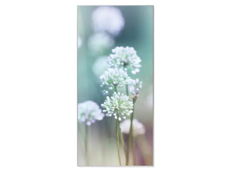 New Banjado Magnettafel 37x78cm Magnetwand Silber Aus Metall Magnetpinnwand Pinnwand Inkl. 4 Magnete Motiv Lauchblüte