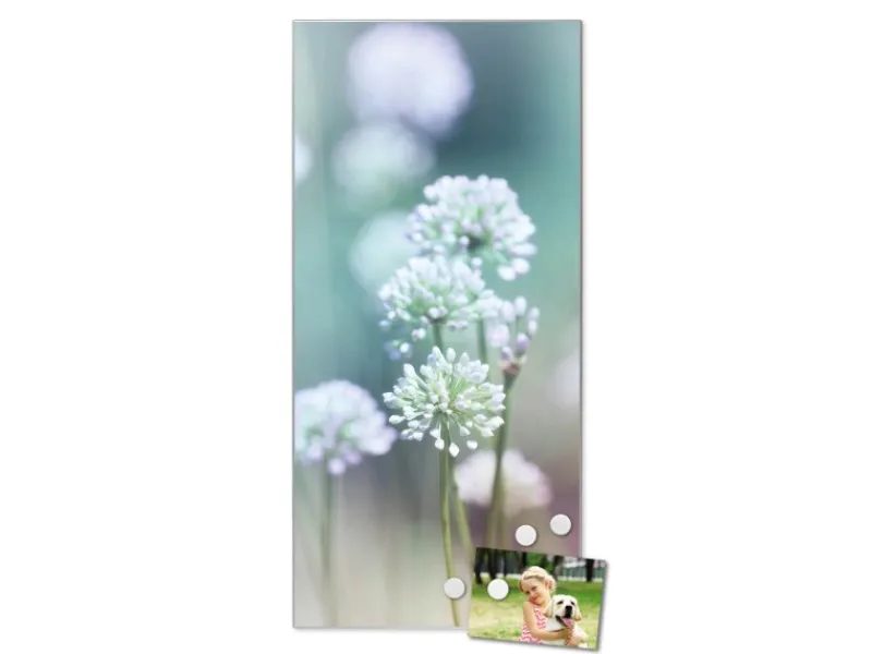 New Banjado Magnettafel 37x78cm Magnetwand Silber Aus Metall Magnetpinnwand Pinnwand Inkl. 4 Magnete Motiv Lauchblüte