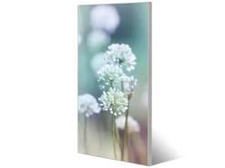 New Banjado Magnettafel 37x78cm Magnetwand Silber Aus Metall Magnetpinnwand Pinnwand Inkl. 4 Magnete Motiv Lauchblüte