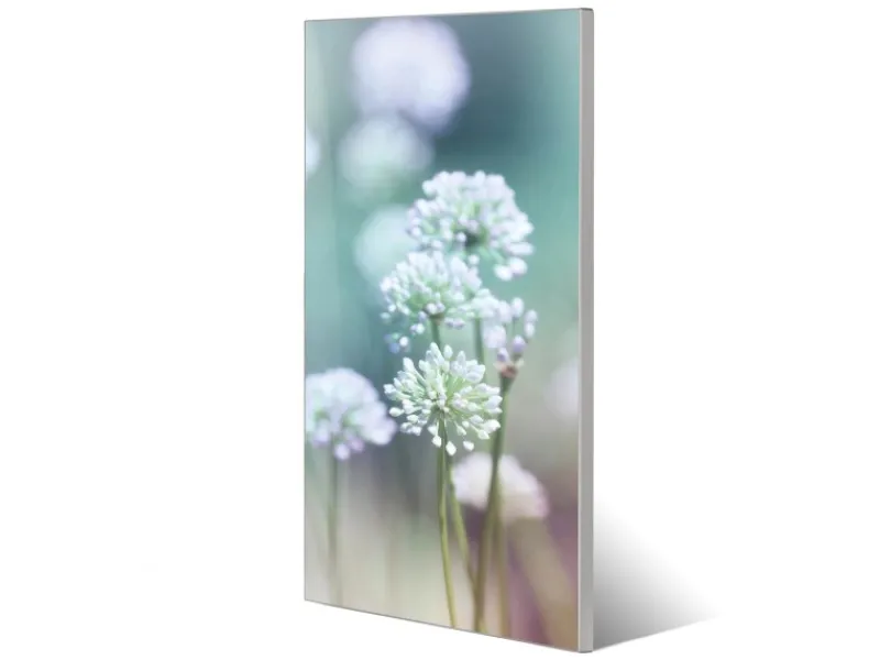 New Banjado Magnettafel 37x78cm Magnetwand Silber Aus Metall Magnetpinnwand Pinnwand Inkl. 4 Magnete Motiv Lauchblüte