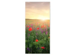 Banjado Magnettafel 37x78cm Magnetwand Weiß Aus Metall Magnetpinnwand Pinnwand Inkl. 4 Magnete Motiv Sommerfeld