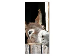 Banjado Magnettafel 37x78cm Magnetwand Weiß Aus Metall Magnetpinnwand Pinnwand Inkl. 4 Magnete Motiv Nicki