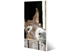 Banjado Magnettafel 37x78cm Magnetwand Weiß Aus Metall Magnetpinnwand Pinnwand Inkl. 4 Magnete Motiv Nicki