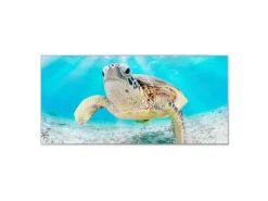 Discount Banjado Magnettafel 78x37cm Magnetwand Silber Aus Metall Magnetpinnwand Pinnwand Inkl. 4 Magnete Motiv Elvis