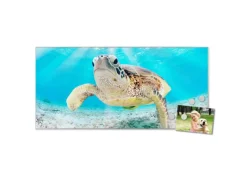 Discount Banjado Magnettafel 78x37cm Magnetwand Silber Aus Metall Magnetpinnwand Pinnwand Inkl. 4 Magnete Motiv Elvis