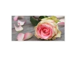 Sale Banjado Magnettafel 78x37cm Magnetwand Weiß Aus Metall Magnetpinnwand Pinnwand Inkl. 4 Magnete Motiv Rosa Rose