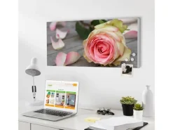 Sale Banjado Magnettafel 78x37cm Magnetwand Weiß Aus Metall Magnetpinnwand Pinnwand Inkl. 4 Magnete Motiv Rosa Rose