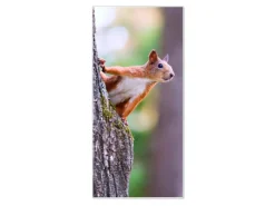 Online Banjado Magnettafel 37x78cm Magnetwand Weiß Aus Metall Magnetpinnwand Pinnwand Inkl. 4 Magnete Motiv Eichhörnchen