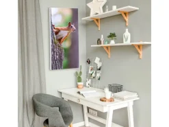 Online Banjado Magnettafel 37x78cm Magnetwand Weiß Aus Metall Magnetpinnwand Pinnwand Inkl. 4 Magnete Motiv Eichhörnchen