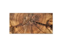 Banjado Magnettafel 78x37cm Magnetwand Silber Aus Metall Magnetpinnwand Pinnwand Inkl. 4 Magnete Motiv Jahresringe