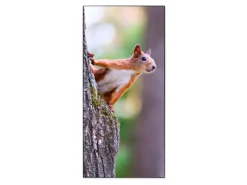 Clearance Banjado Magnettafel 37x78cm Magnetwand Schwarz Aus Metall Magnetpinnwand Pinnwand Inkl. 4 Magnete Motiv Eichhörnchen