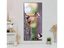 Clearance Banjado Magnettafel 37x78cm Magnetwand Schwarz Aus Metall Magnetpinnwand Pinnwand Inkl. 4 Magnete Motiv Eichhörnchen